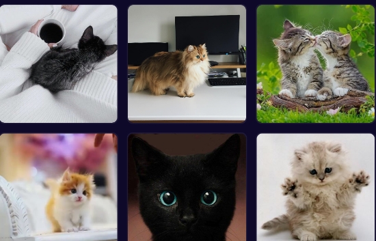 潮流头像社app官方版 潮流头像社app官方版