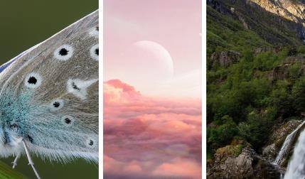 星空动态壁纸app安卓版