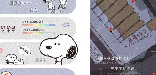 老鸟i主题最新版 老鸟i主题最新版