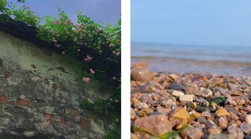 麦浪充电app最新版