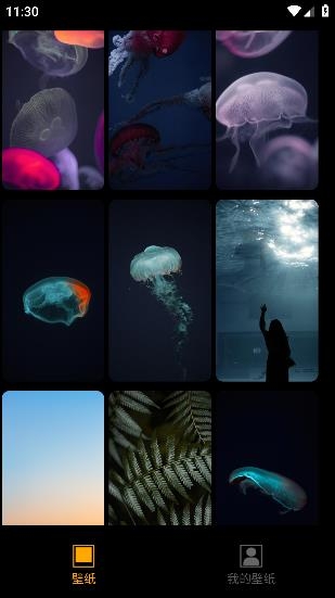 酷玩壁纸app安卓版 酷玩壁纸app安卓版