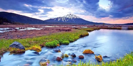 未来壁纸app官方版