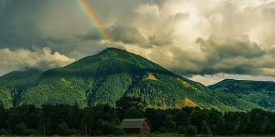 未来壁纸app官方版