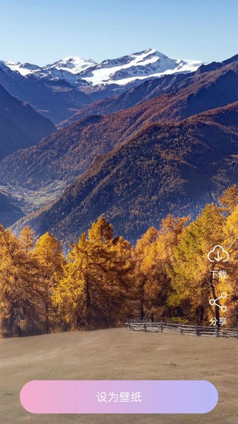 星空动态壁纸app安卓版0