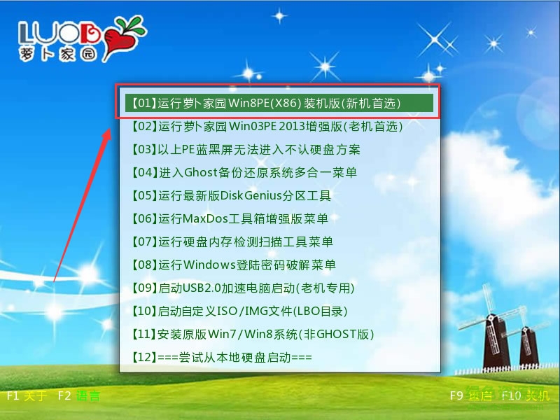 萝卜U盘启动盘制作软件 萝卜U盘启动盘制作软件