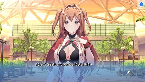 角色扮演之恋极乐公主