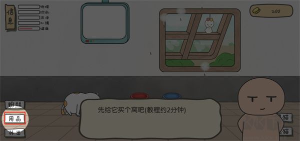 主播和猫的故事